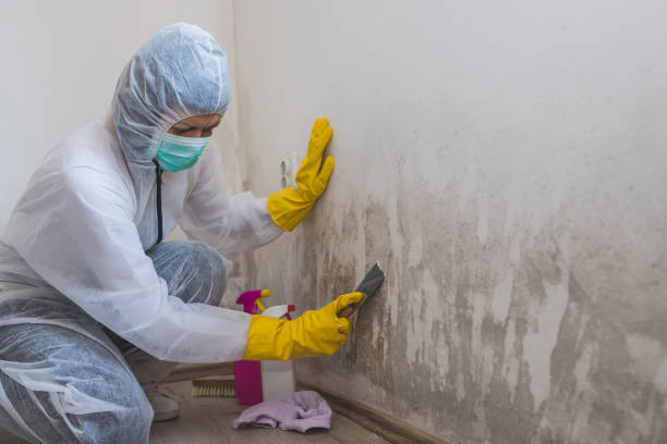 Best Professional Mold Removal  in Tulare, CA