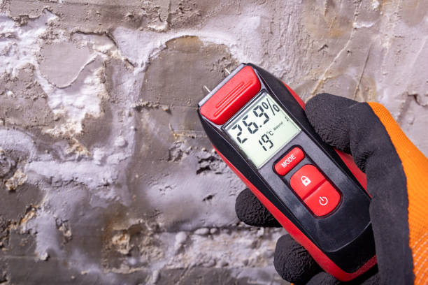 Best Commercial Mold Removal  in Tulare, CA