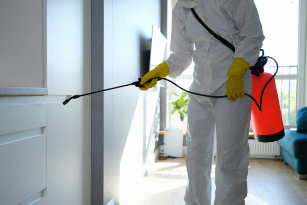 Best Residential Mold Removal  in Tulare, CA