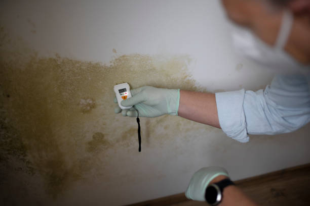 Best Mold Cleaning Services  in Tulare, CA