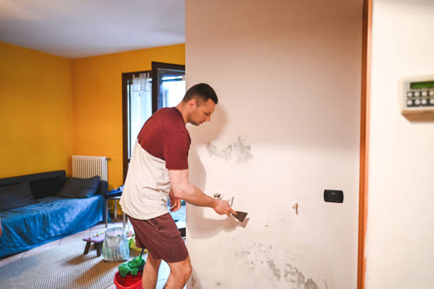 Best Affordable Mold Removal  in Tulare, CA